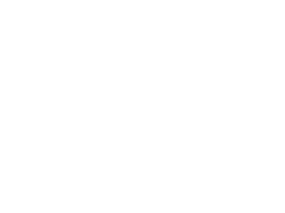 mndgroup-logos-codelco-blanc.png