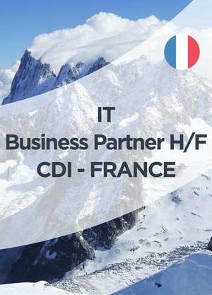 IT Business Partner H/F CDI - France