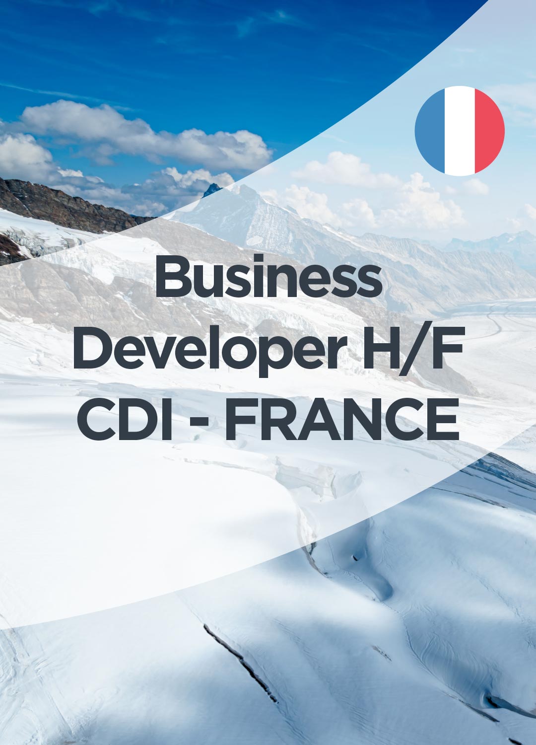Business Developer H/F CDI - France