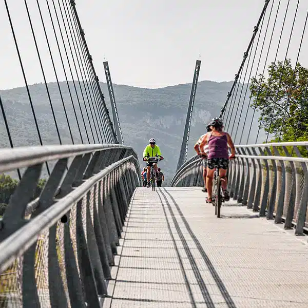 Photos Produits Leisure Passerelle 4.jpg