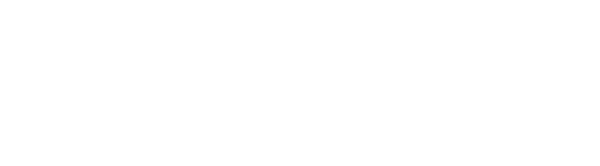 Logo Orizon White